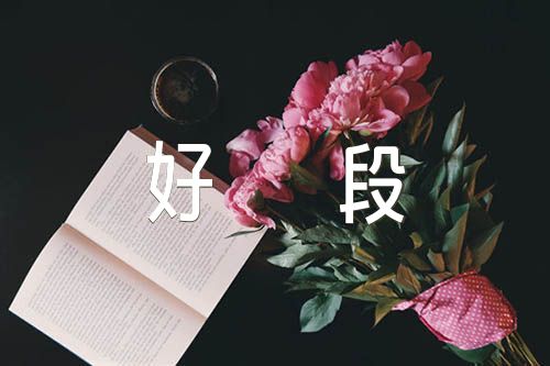摘抄好词好句好段二篇
