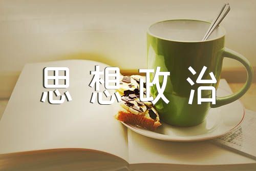 年度考核个人总结思想政治方面范文四篇