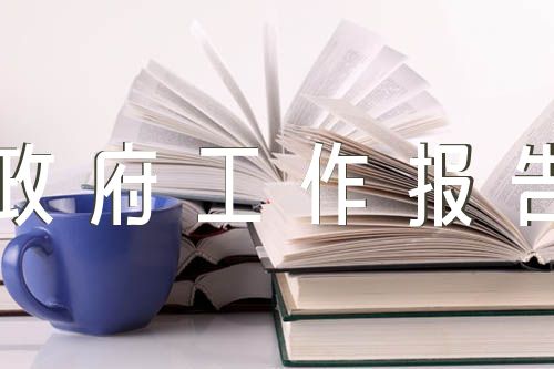 政协委员对政府工作报告的讨论发言精选6篇