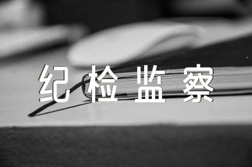纪检监察干部队伍教育整顿检视自身情况(通用3篇)