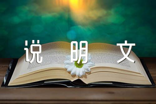 说明文500字【四篇】