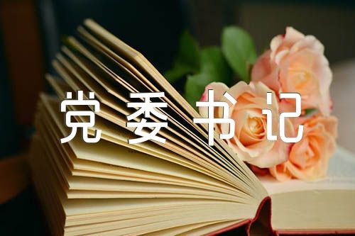 2023年税务局党委书记述职述廉报告精选五篇