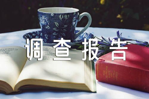 社會(huì)實(shí)踐調(diào)查報(bào)告精選6篇