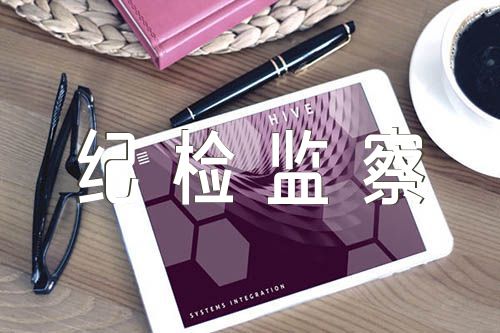纪检监察干部队伍教育整顿检视材料范文四篇