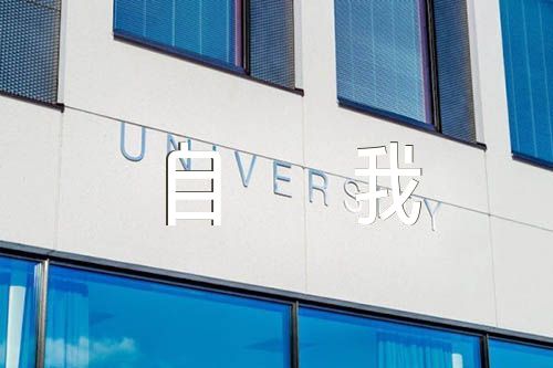 政治画像品德操守自我评价【3篇】