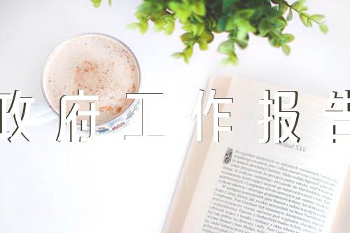 学习政府工作报告精选五篇