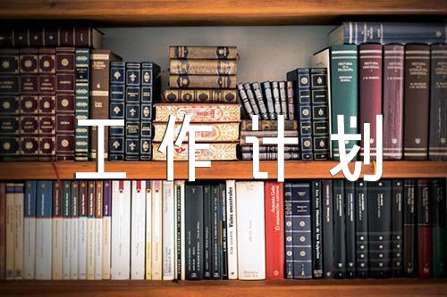 黨建工作總結(jié)及工作計(jì)劃集合4篇