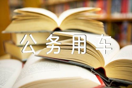公務(wù)用車油卡消費(fèi)自查報(bào)告精選9篇