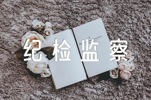 纪检监察干部队伍教育整顿督导报告范文六篇