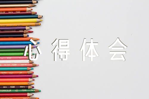 小学数学新课标培训心得体会(合集4篇)