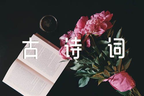 2023元宵节诗句和古诗词鉴赏【3篇】