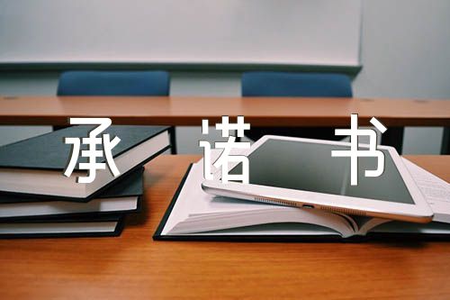 2024年组织生活个人整改承诺书集合3篇