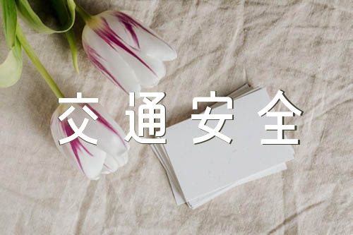 交通安全手抄报内容(通用3篇)
