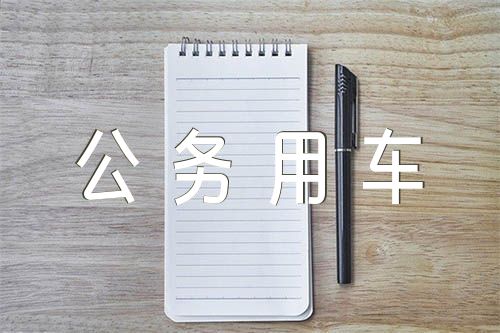 公务用车油卡消费自查报告【六篇】