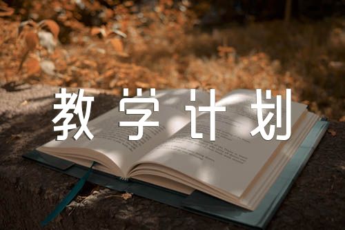 八年级汉语教学计划(合集10篇)