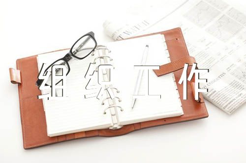 巡察党组织工作汇报材料五篇