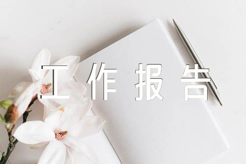 个人工作报告的格式范文(通用17篇)