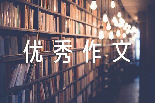 2023会心之乐上海中考优秀作文锦集五篇