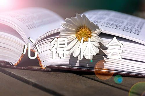 违规吃喝问题警示教育心得体会【汇编四篇】