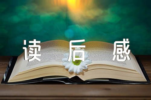 野性的呼唤读后感范文(精选八篇)