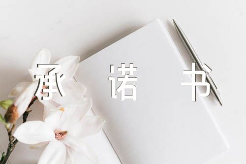 医疗器械售后承诺书承诺书(锦集3篇)