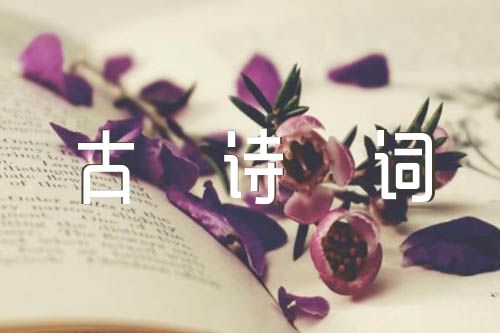 初中语文古诗词教学分析十一篇