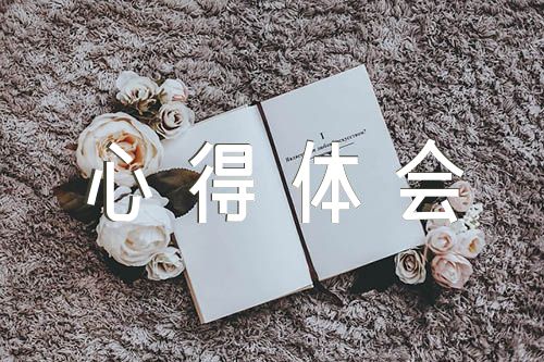 两个确立两个维护四个自信四个意识心得体会范文五篇