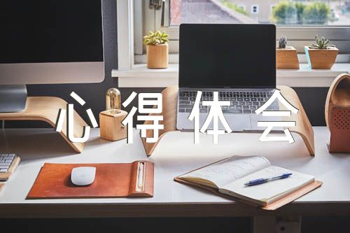 違規(guī)違法典型案例心得體會(huì)(錦集8篇)