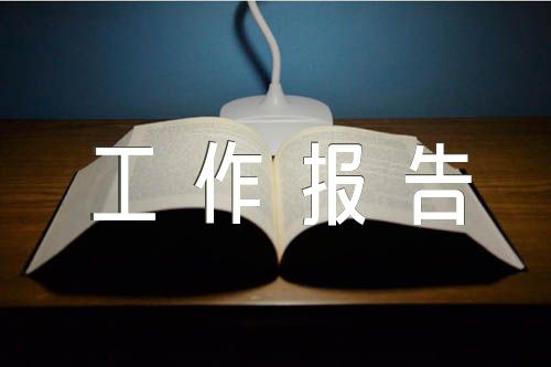 对政协工作报告的讨论发言(合集七篇)