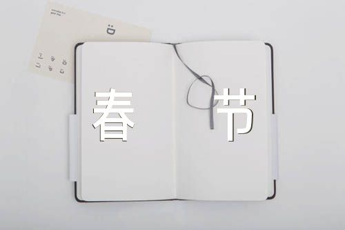 小学作文春节800字精选四篇