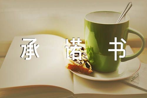 组织生活会个人整改承诺书汇编5篇