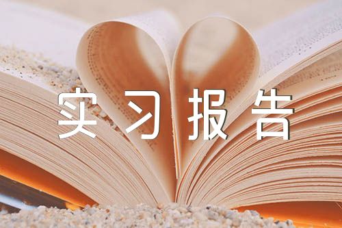 旅游專業大學生實習報告范文(精選13篇)
