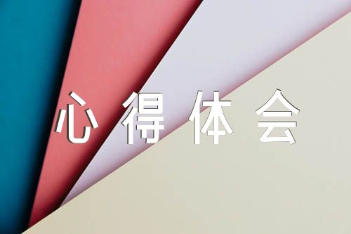 大学生个人总结美育心得体会精选四篇