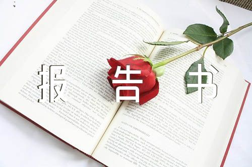 辞职报告书个人原因(锦集12篇)