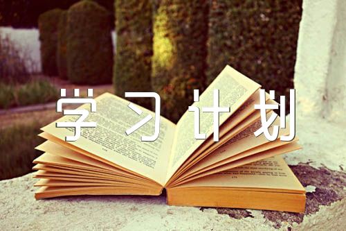 2022年理论中心组学习计划六篇