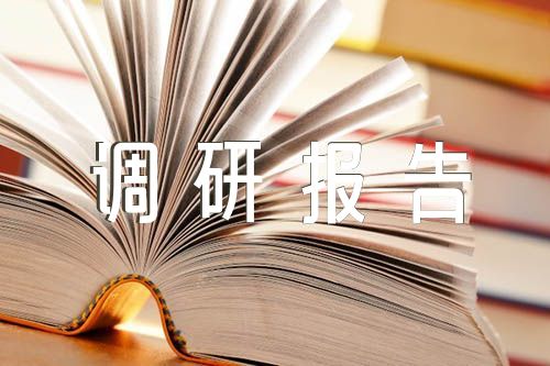 公司董事長主題教育調(diào)研報告【4篇】