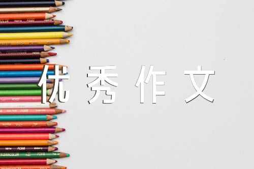 九年级初中语文优秀作文(锦集4篇)