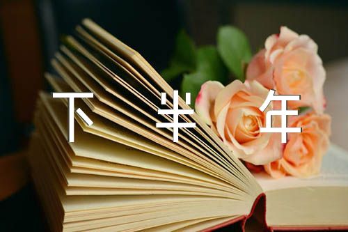 关于2023年上半年支部工作总结及下半年工作计划【四篇】