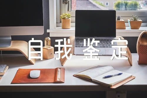 民主評(píng)議自我鑒定四篇