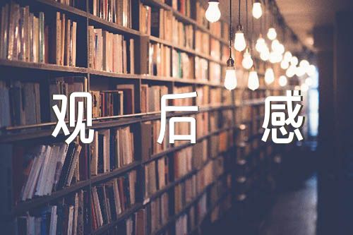 观后感400字精选8篇