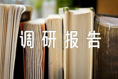 多彩鄉(xiāng)村主題教育調(diào)研報告范文匯總五篇