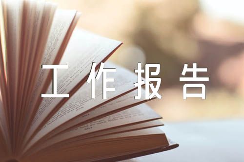 文化旅游体育局意识形态工作报告精选4篇