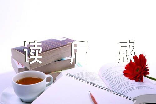 水浒传读后感作文汇编5篇