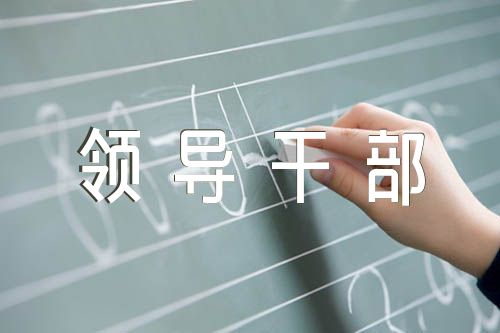 领导干部政治鉴定材料五篇
