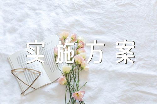 防范化解重大风险隐患工作实施方案【5篇】