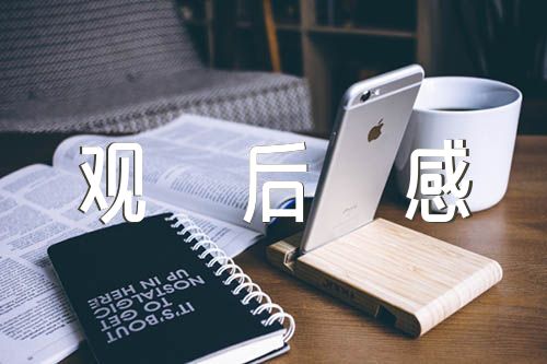 关于新时代新思想新飞跃观后感【八篇】