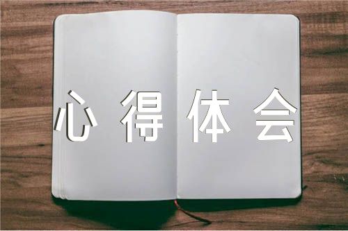 赌输的人生心得体会|赌输的青春心得体会五篇