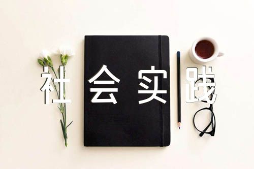 大学生乡村振兴社会实践报告300字【汇编六篇】