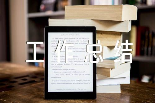 2024年街道人大工作总结范文九篇