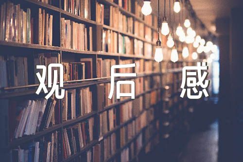 2022年四川开学第一课观后感范文(精选三篇)